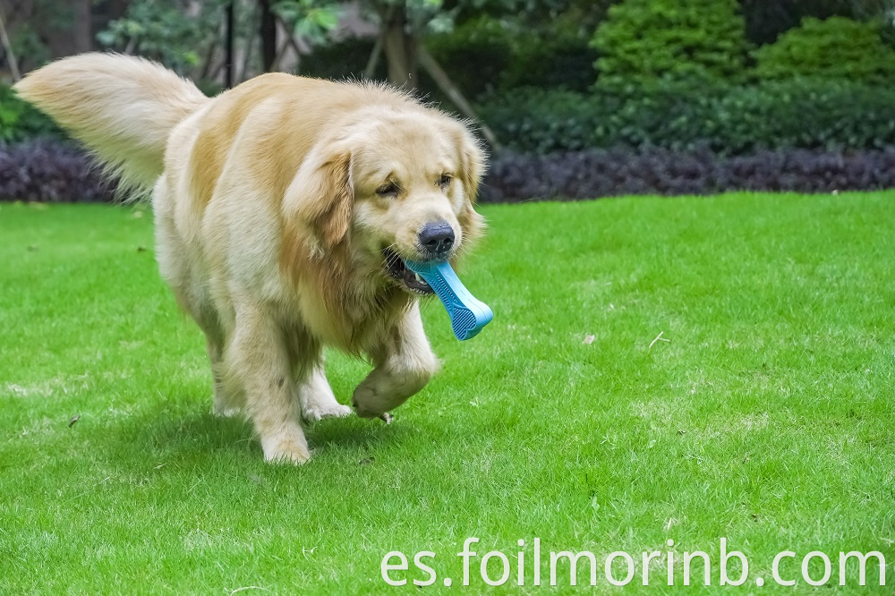 Dog Toys Bone Squeaky